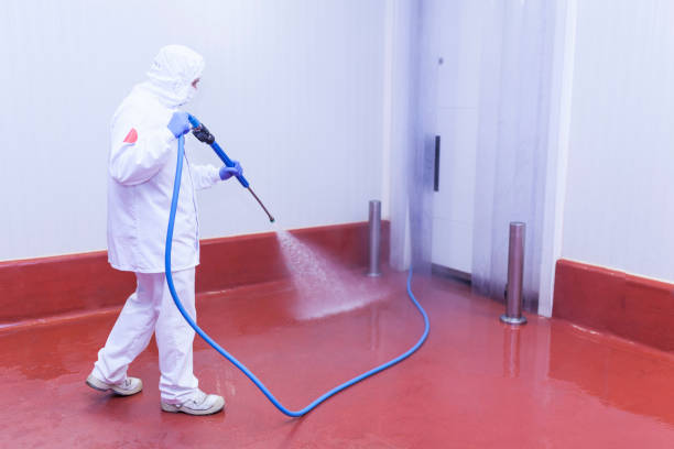 Best House Exterior Washing  in Greenfield, CA